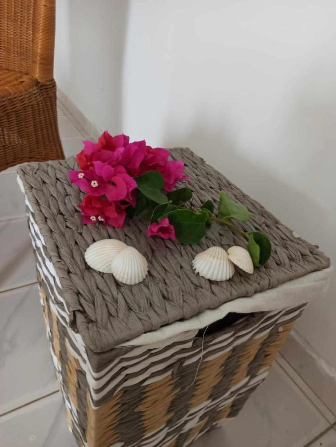 Bosofet Beach And Creek Lodge Sanyang 외부 사진